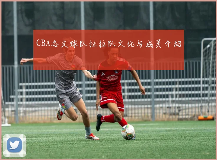 CBA各支球队拉拉队文化与成员介绍