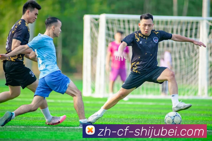 法甲赛季目标制定流程揭秘：管理层与教练组协商机制